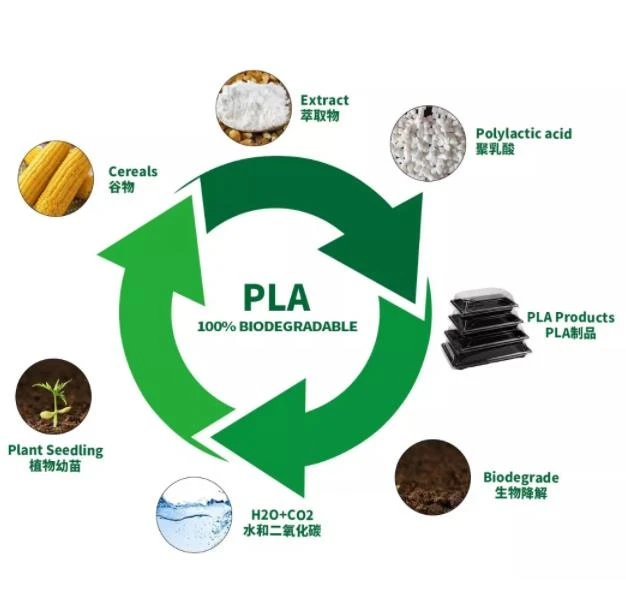 PLA materiali nima